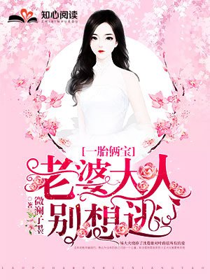 一胎俩宝，老婆大人别想逃（沈蔓歌叶南弦）